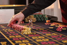 AVOCADO CASINO